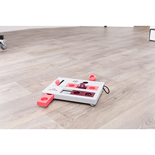 Trixie Pet Products Brain Mover Toy