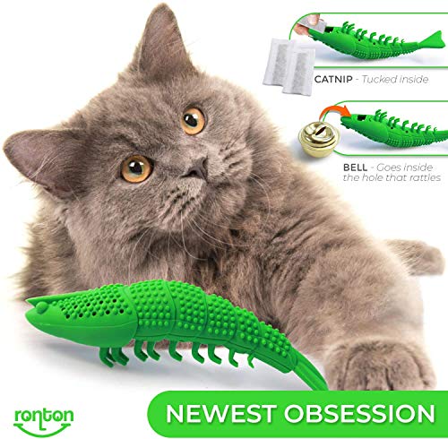Ronton Cat Toothbrush Catnip Toy - Durable Hard Rubber - Cat Dental Care, Cat Interactive Toothbrush Chew Toy (1-Pack Green)