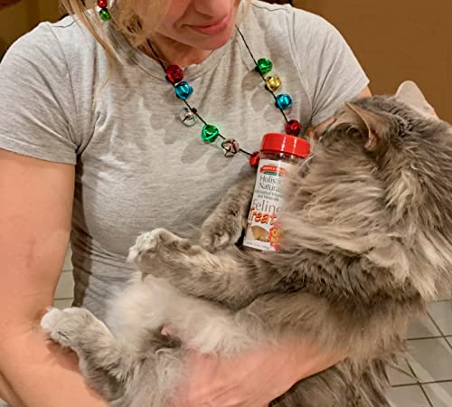 Bench and Field Cat Treat Holistic NTRL