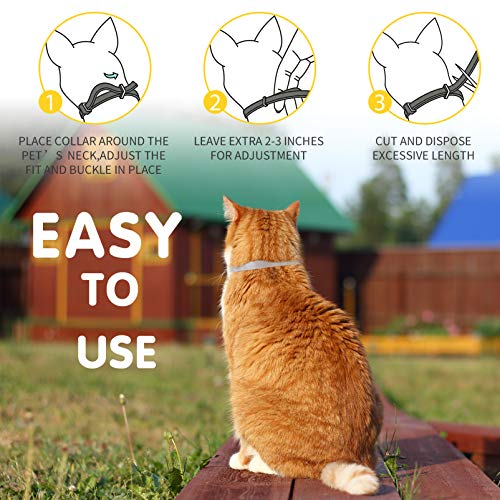 MONIPGU Flea and Tick Collar for Cats,2 Pack,Natural Flea and Tick Prevention for Cats,8 Months Protection,One Size Fits All Cats,Adjustable & Waterproof,Include Flea Comb