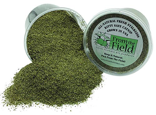 From The Field 3.5-Ounce Catnip Kitty Safe Stalkless Tub