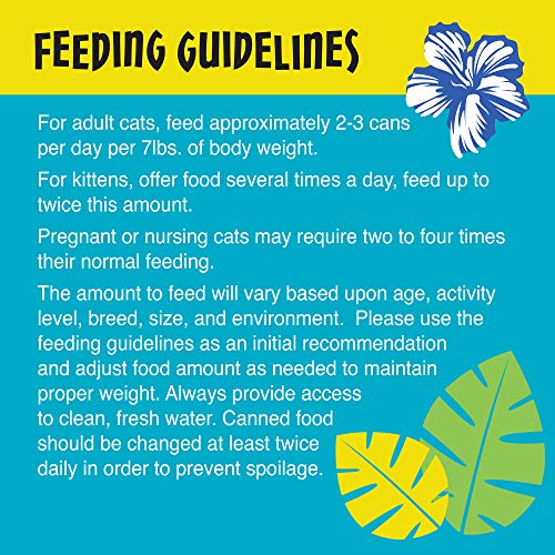 Tiki Cat Luau Grain-Free, Low-Carbohydrate Wet Food with Poultry or Fish in Consomme for Adult Cats & Kittens, 2.8oz, 12pk, Chicken