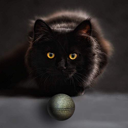 Pawbreakers Bonkas | All-Natural Catnip Candy Toy for Cats | 17 grams