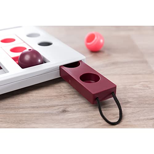Trixie Pet Products Brain Mover Toy