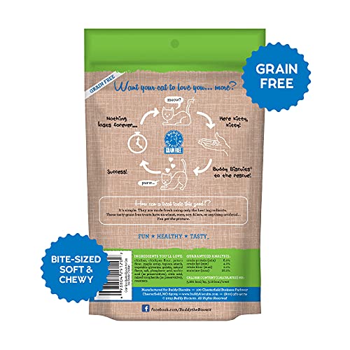 Cloud Star Grain Free Buddy Biscuits for Cats, Tender Chicken, 3 Ounce