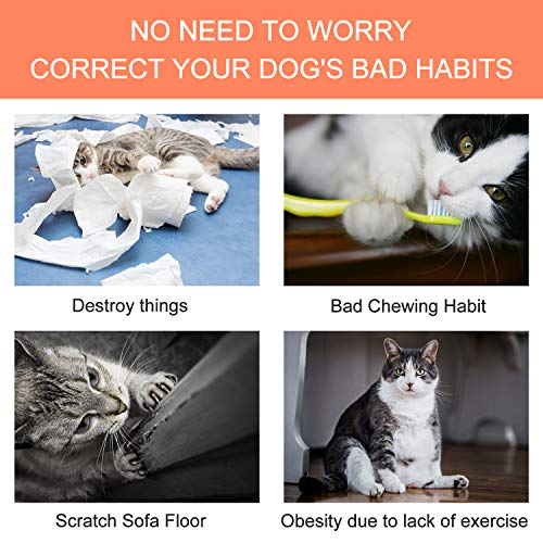 Bojafa 3 Pack Catnip Toys for Indoor Cats Playing Chewing Teeth Cleaning Toys - Creative Pillow Scratch Pet Cat nip Kitty Toys