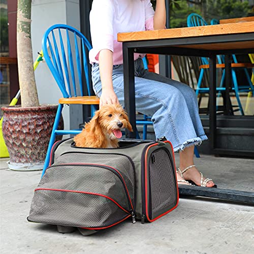 Petsfit Airplane Cabin Travel Expandable Pet Carrier for Dog and Cat Under 15 Pounds, 18" x 11" x 11"