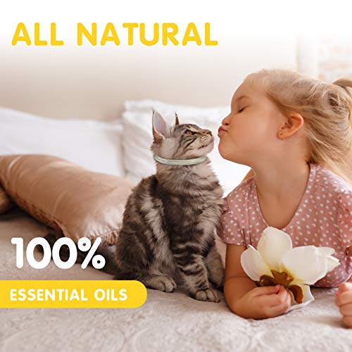 MONIPGU Flea and Tick Collar for Cats,2 Pack,Natural Flea and Tick Prevention for Cats,8 Months Protection,One Size Fits All Cats,Adjustable & Waterproof,Include Flea Comb