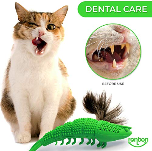 Ronton Cat Toothbrush Catnip Toy - Durable Hard Rubber - Cat Dental Care, Cat Interactive Toothbrush Chew Toy (1-Pack Green)