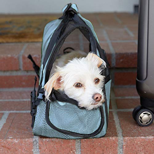 Paws & Pals Airline Approved Pet Carrier - Soft-Sided Carriers for Small Medium Cats and Dogs Air-Plane Travel On-Board Under Seat Carrying Bag with Fleece Bolster Bed for Kitten Cat Puppy Dog Taxi