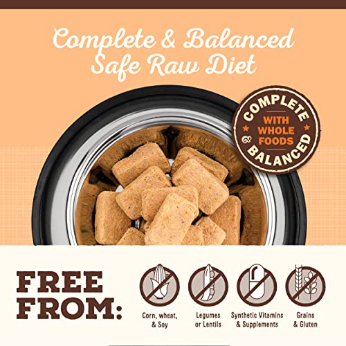 Primal Fpkfd14 Pet Foods Freeze-Dried Feline Pork Formula, 14 Oz.