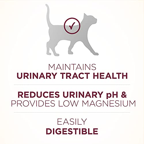 Purina ONE Urinary Tract Health Dry Cat Food, Urinary Tract Health Formula - 22 lb. Bag