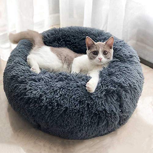 BODISEINT Modern Soft Plush Round Pet Bed for Cats or Small Dogs, Mini Medium Sized Dog Cat Bed Self Warming Autumn Winter Indoor Snooze Sleeping Cozy Kitty Teddy Kennel (S(19.7Dx7.9 H, Dark Grey)