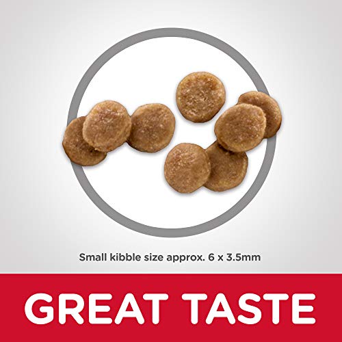 Hill's Science Diet Dry Cat Food, Kitten, Chicken Recipe, 15.5 lb Bag