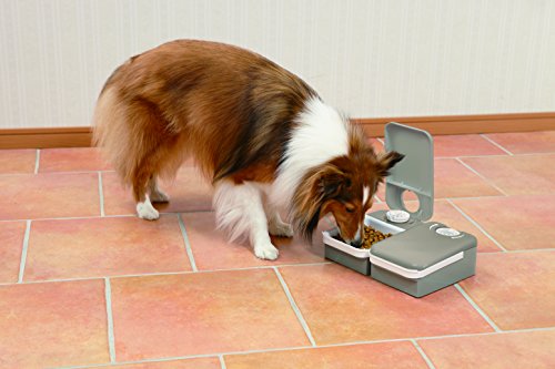 PetSafe Automatic 2 Meal Pet Feeder with Battery Powered Programmable Timer, 3 Cups Total Capacity, Cat and Small to Medium Dog Food Dispenser