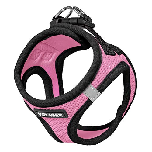Voyager Step-in Air Dog Harness - All Weather Mesh, Step in Vest Harness for Small and Medium Dogs by Best Pet Supplies