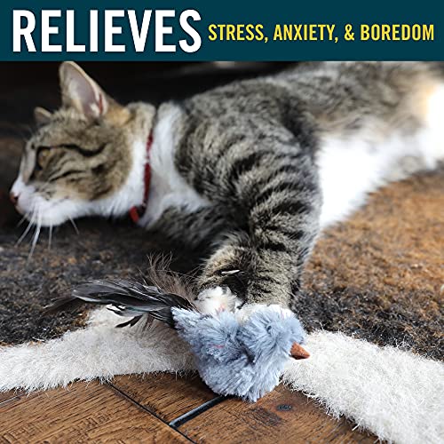 OurPets Play-N-Squeak Backyard Bird Catnip Cat Toy, 4.5' length