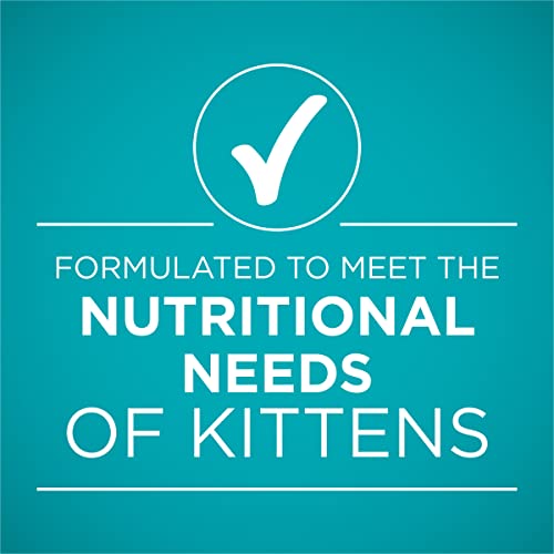 Purina ONE Grain Free, Natural Pate Wet Kitten Food, Healthy Kitten Chicken & Salmon Recipe - (24) 3 oz. Pull-Top Cans