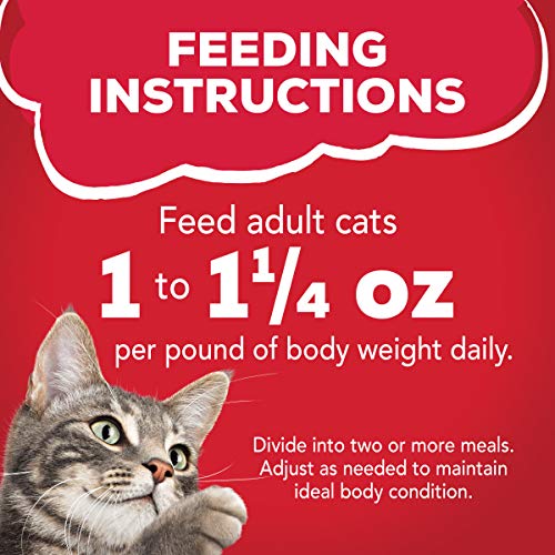 Purina Friskies Gravy Wet Cat Food, Prime Filets With Beef in Gravy - (24) 5.5 oz. Cans