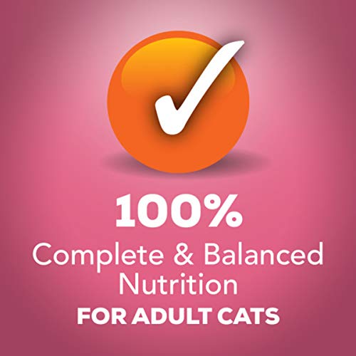 Friskies Wet Cat Food Variety Pack, Prime Filets Meaty Favorites, (24) 5.5 Oz Cans