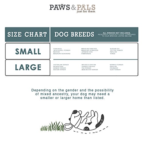 Paws & Pals Airline Approved Pet Carrier - Soft-Sided Carriers for Small Medium Cats and Dogs Air-Plane Travel On-Board Under Seat Carrying Bag with Fleece Bolster Bed for Kitten Cat Puppy Dog Taxi