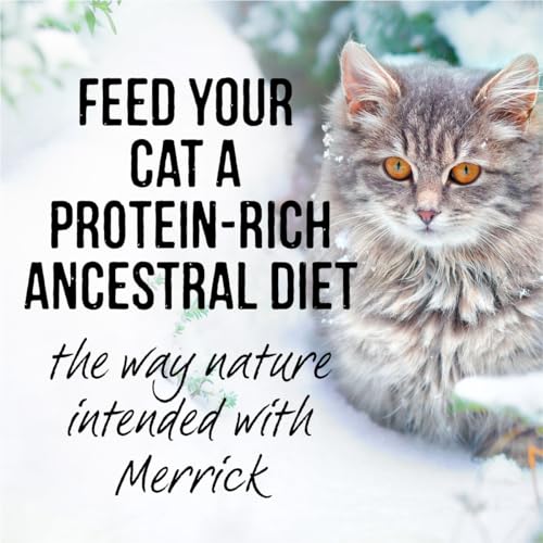Merrick Backcountry Grain Free Real Meat Wet Cat Food Duck 3 oz. Pouches (Case of 24)