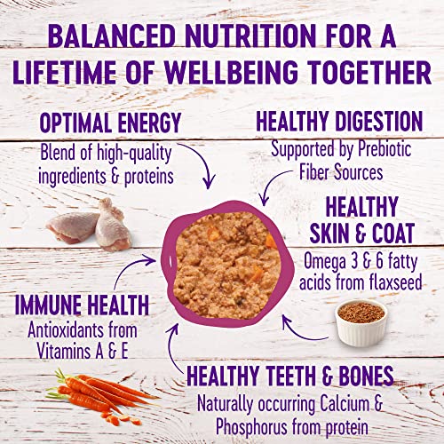 Wellness Natural Grain Free Wet Canned Cat Food, Chicken & Lobster Pate, 3-Ounce Can (Pack Of 24)