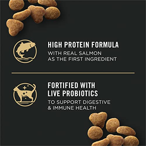 Purina Pro Plan FOCUS Indoor Care Salmon & Rice Formula Adult Dry Cat Food - 7 lb. Bag