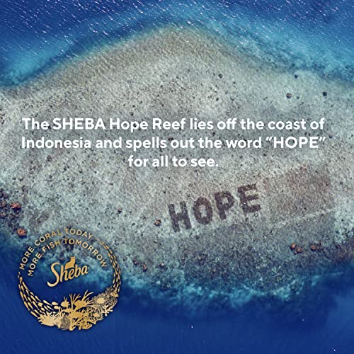 SHEBA PERFECT PORTIONS Soft Wet Cat Food Paté Savory Chicken Entrée and Roasted Turkey Entrée Multipack, Easy Peel Twin-Pack Trays, 48 Count