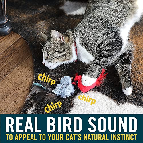 OurPets Play-N-Squeak Backyard Bird Catnip Cat Toy, 4.5' length