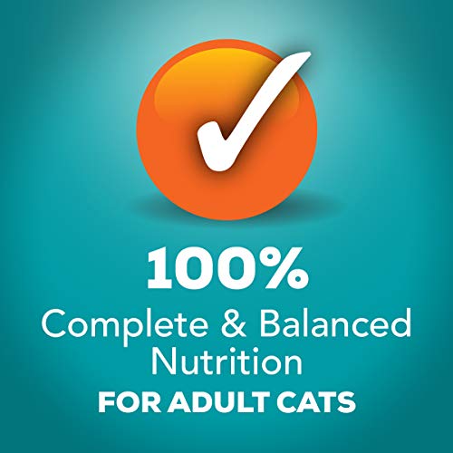 Purina Friskies Indoor Wet Cat Food, Indoor Meaty Bits Saucy Seafood Bake in Sauce - (24) 5.5 oz. Cans