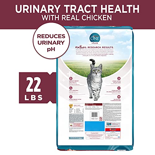 Purina ONE Urinary Tract Health Dry Cat Food, Urinary Tract Health Formula - 22 lb. Bag