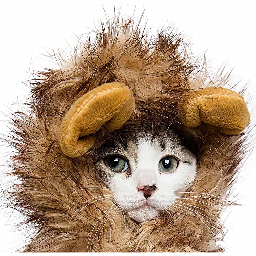 Pet Krewe Lion Mane Costume | Lion Costume for Small Cats Up To 15lbs