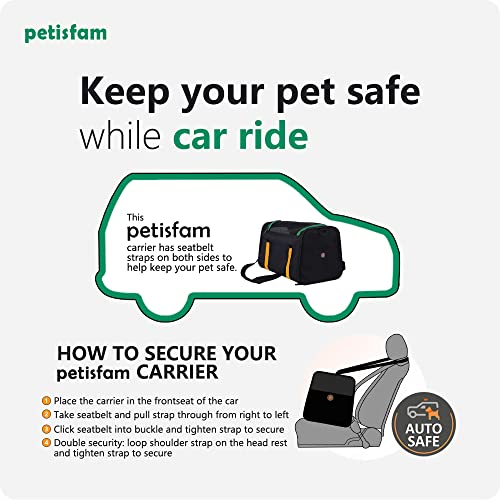 petisfam Pet Carrier for Medium Cats and Small Dogs. Easy to get cat in and Escape Proof