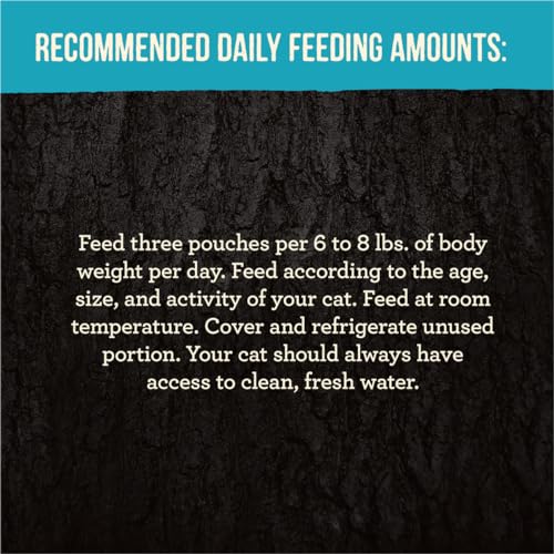 Merrick Backcountry Grain Free Real Meat Wet Cat Food Duck 3 oz. Pouches (Case of 24)