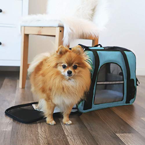 Paws & Pals Airline Approved Pet Carrier - Soft-Sided Carriers for Small Medium Cats and Dogs Air-Plane Travel On-Board Under Seat Carrying Bag with Fleece Bolster Bed for Kitten Cat Puppy Dog Taxi