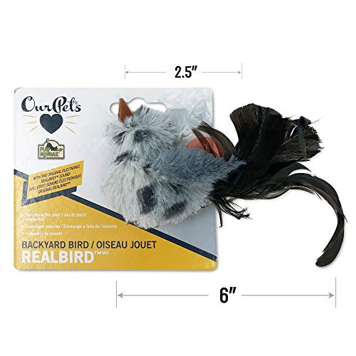 OurPets Play-N-Squeak Backyard Bird Catnip Cat Toy, 4.5' length