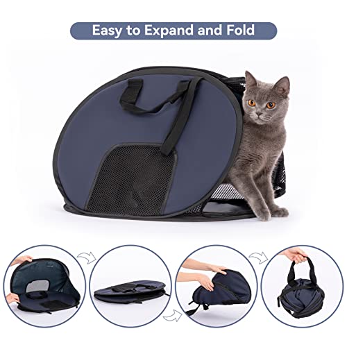 A4Pet Super Lightweight Collapsible Cat Carrier for Travel, 19 x 15 x 13 Inches