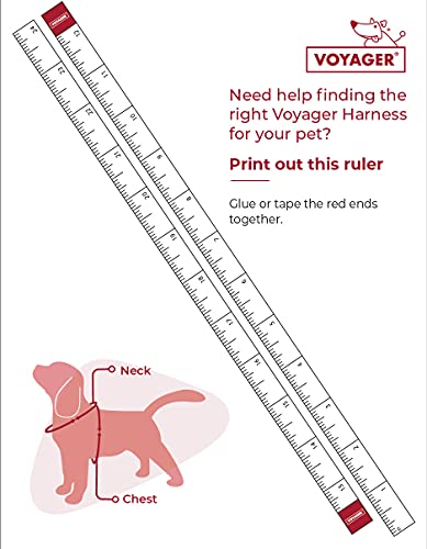 Voyager Step-in Air Dog Harness - All Weather Mesh, Step in Vest Harness for Small and Medium Dogs by Best Pet Supplies