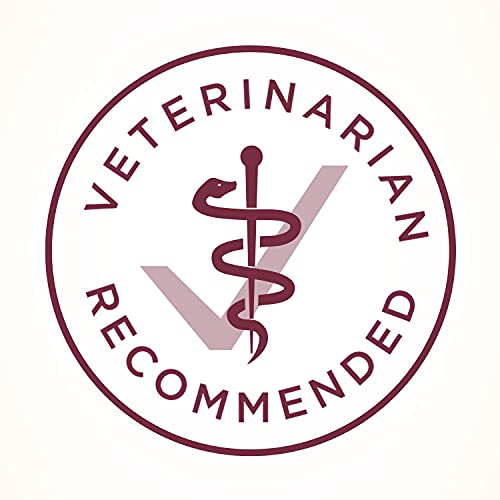 Purina ONE Urinary Tract Health Dry Cat Food, Urinary Tract Health Formula - 22 lb. Bag