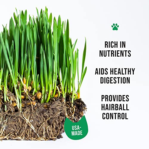 Cat Grass Growing Kit with Organic Seed, Organic Soil and Cat Planter. Great Learning Activity or Project for Home. Natural Hairball Control, Remedy for Cats. Natural Digestive Aid. USA Manufactured.