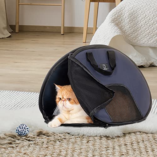 A4Pet Super Lightweight Collapsible Cat Carrier for Travel, 19 x 15 x 13 Inches