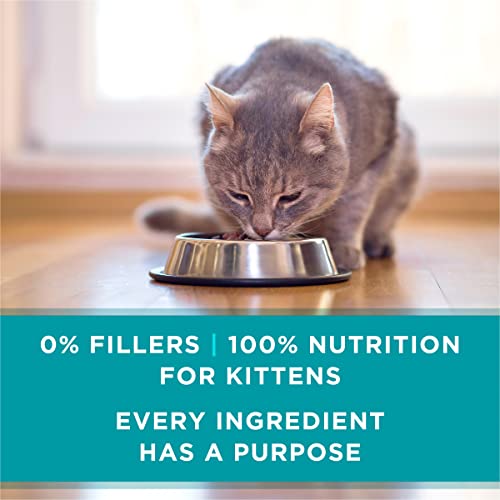 Purina ONE Grain Free, Natural Pate Wet Kitten Food, Healthy Kitten Chicken & Salmon Recipe - (24) 3 oz. Pull-Top Cans