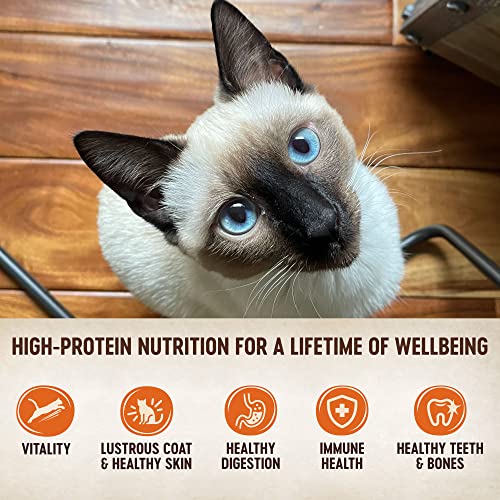 Wellness Natural Pet Food CORE Signature Selects Grain Free Canned Cat Food, Flaked Skipjack Tuna & Shrimp in Broth, 2.8 Ounces (Pack of 12)
