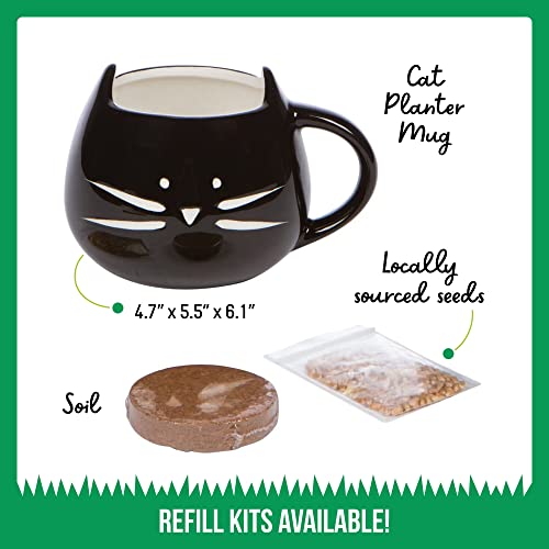 Cat Grass Growing Kit with Organic Seed, Organic Soil and Cat Planter. Great Learning Activity or Project for Home. Natural Hairball Control, Remedy for Cats. Natural Digestive Aid. USA Manufactured.