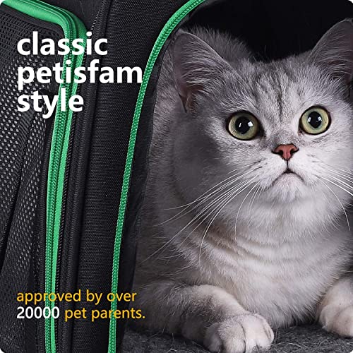 petisfam Pet Carrier for Medium Cats and Small Dogs. Easy to get cat in and Escape Proof