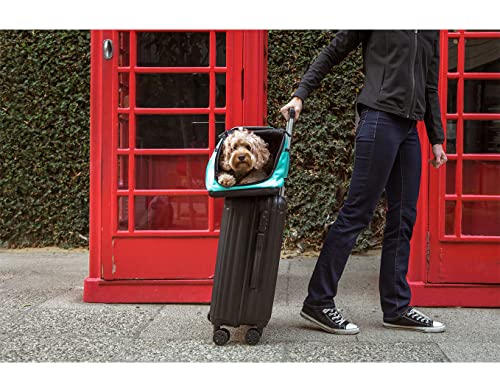 Sleepypod Air In-Cabin Pet Carrier, Dark Chocolate