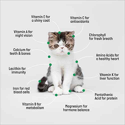 Cat Grass Growing Kit with Organic Seed, Organic Soil and Cat Planter. Great Learning Activity or Project for Home. Natural Hairball Control, Remedy for Cats. Natural Digestive Aid. USA Manufactured.