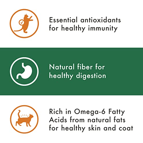 NUTRO WHOLESOME ESSENTIALS Natural Dry Cat Food, Adult Cat Chicken & Brown Rice Recipe Cat Kibble, 3 lb. Bag