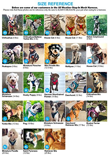 Voyager Step-in Air Dog Harness - All Weather Mesh, Step in Vest Harness for Small and Medium Dogs by Best Pet Supplies